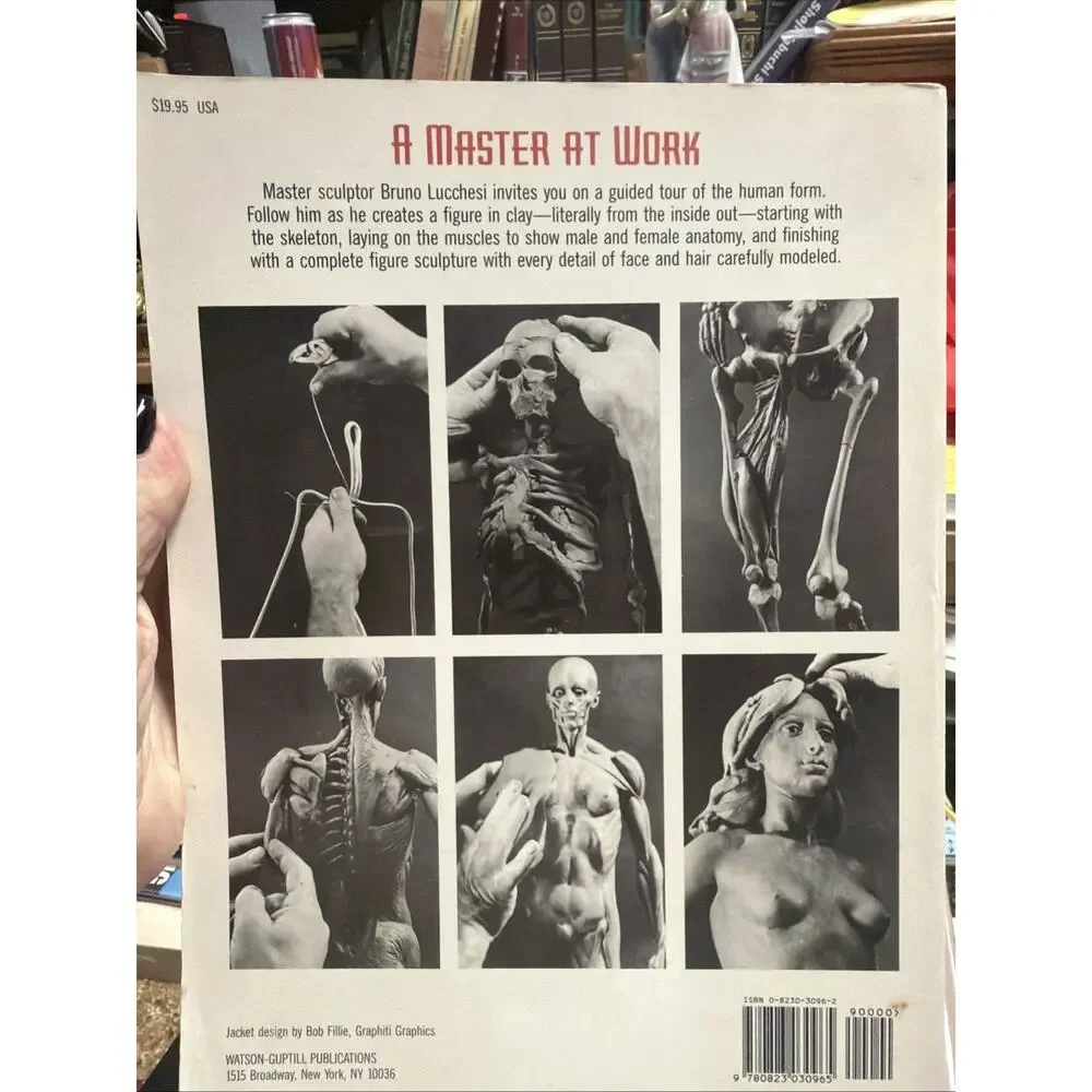 N/A modeling figure